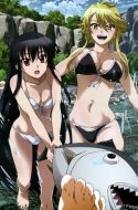 Akame ga Kill! (UC) + Specials
