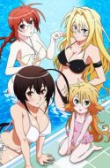 Sekirei Season 2: Pure Engagement (UC) + OVA
